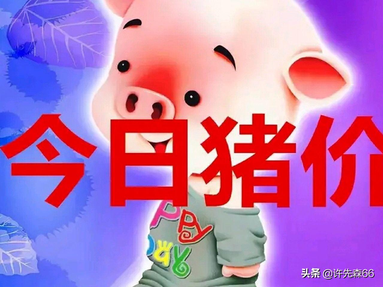 娱乐生活 第60页