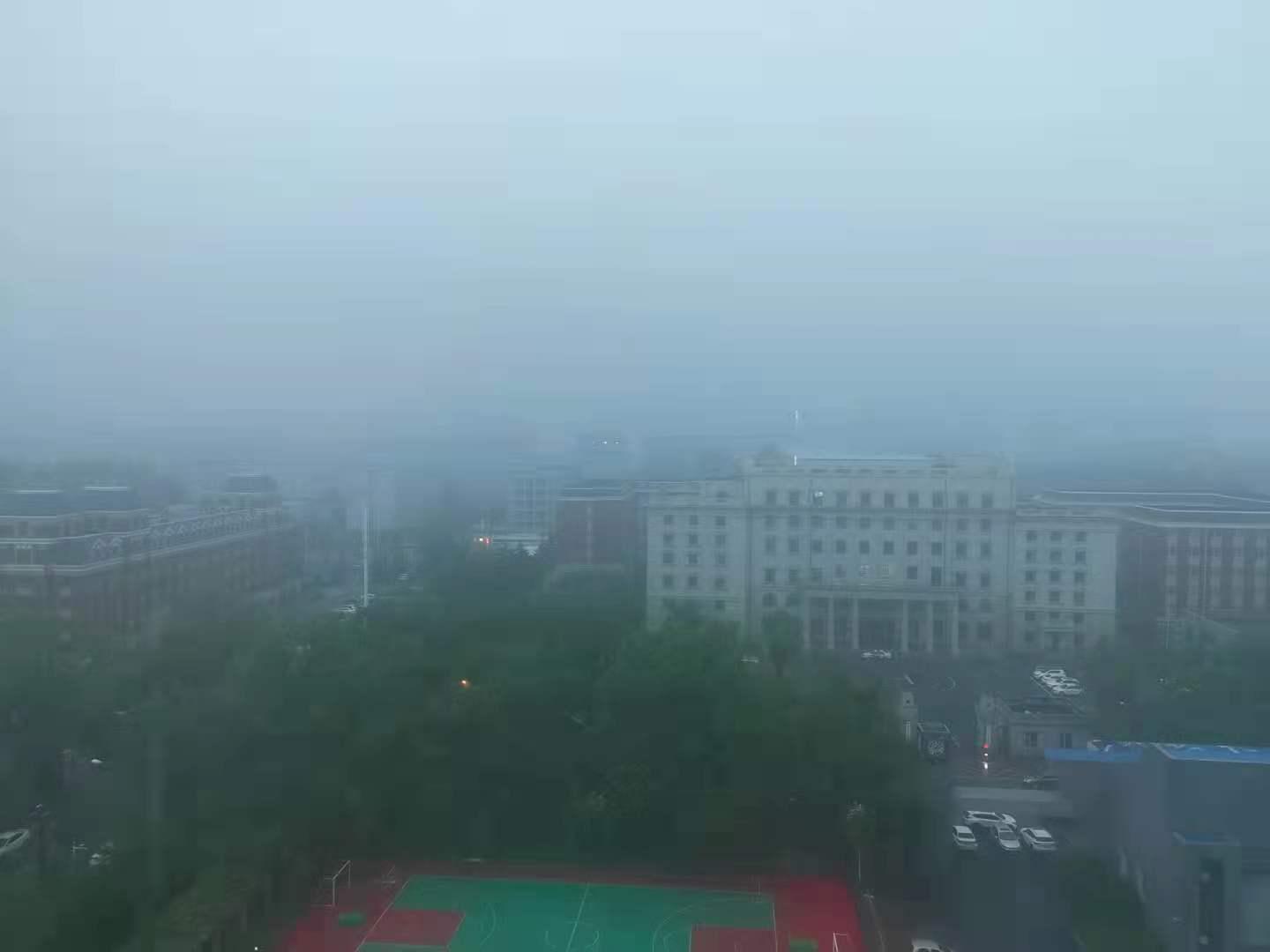 第175页